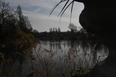 DSC_6887 (Large).JPG